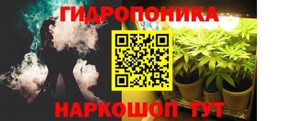 мяу мяу мука Новозыбков