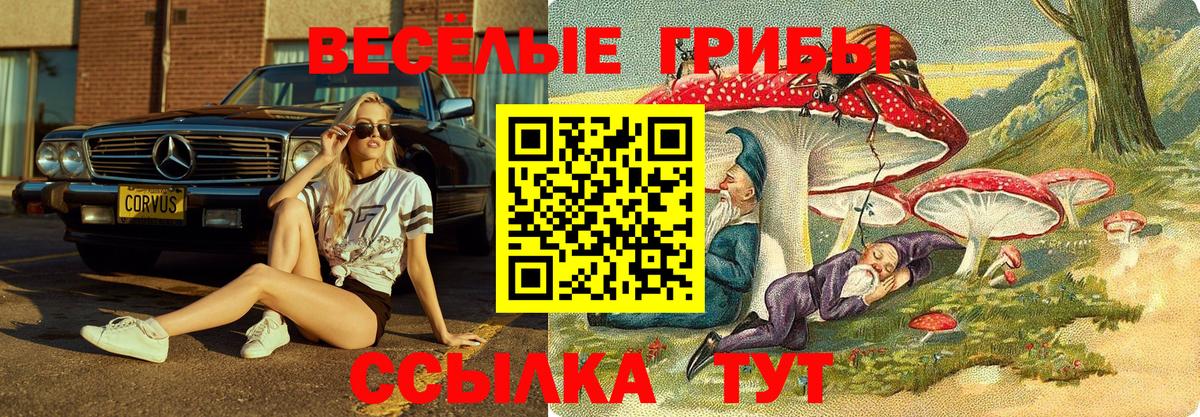 Псилоцибиновые грибы GOLDEN TEACHER  Вход с VPN  Свободный 